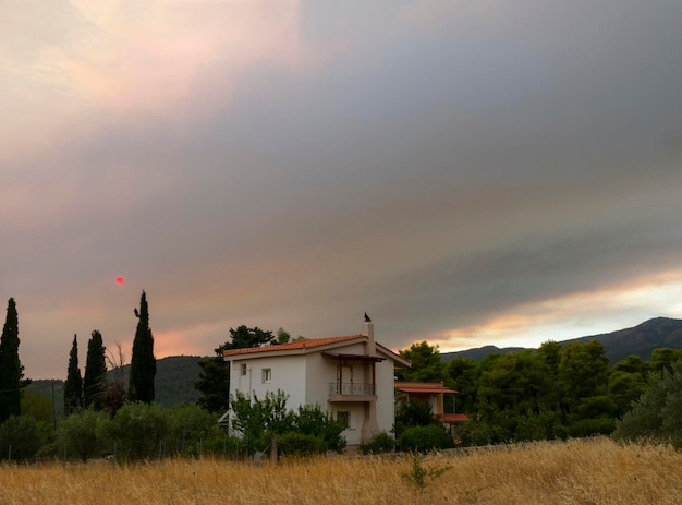 O terrível sol na fumaça dos incêndios na Grécia na ilha de Evia