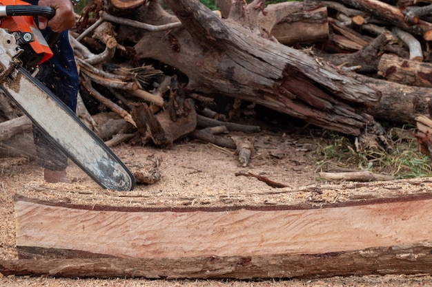 O trabalhador trabalha com uma serra elétrica. Motosserra de perto. O lenhador vê a árvore com serra de cadeia. Homem cortando madeira com serra, poeira e movimentos.