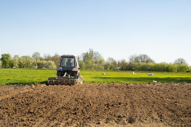 O trator atravessa o campo e cultiva a terra O veículo agrícola trabalha no campo A semeadura é o processo de plantar sementes no solo no início da primavera