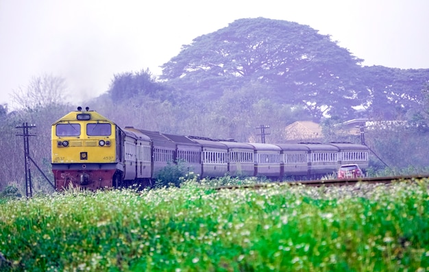 O trem diesel corre entre flores e poluição de grama.