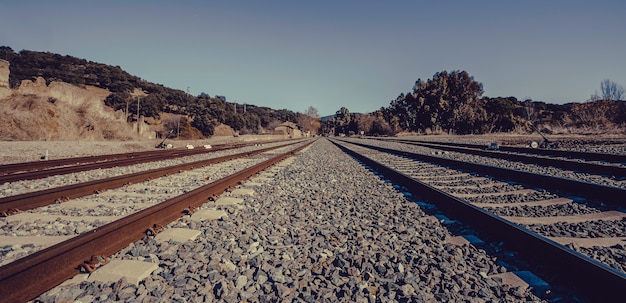 O trem segue com o céu azul na natureza