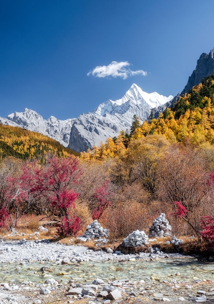 O último shangri-la com chana dorje montanha no pinhal de outono em yading