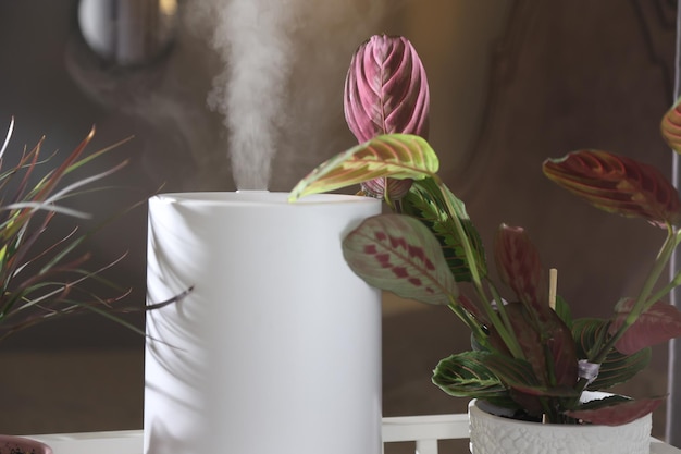 Foto o umidificador branco ultrassônico no parapeito da janela pulveriza vapor de água entre as plantas domésticas manhã ensolarada umidificação do ar em casa