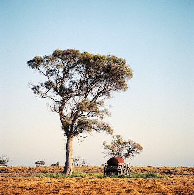 Foto o vagão senta-se debaixo de uma árvore em um campo arado
