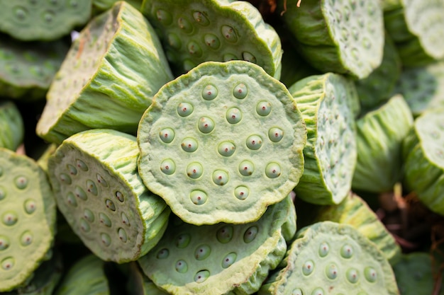 O vagem verde fresco da semente de lótus é o ligamento do grupo à venda no mercado local da rua tailandesa. Sementes de lótus verde podem comer por alimentos saudáveis.