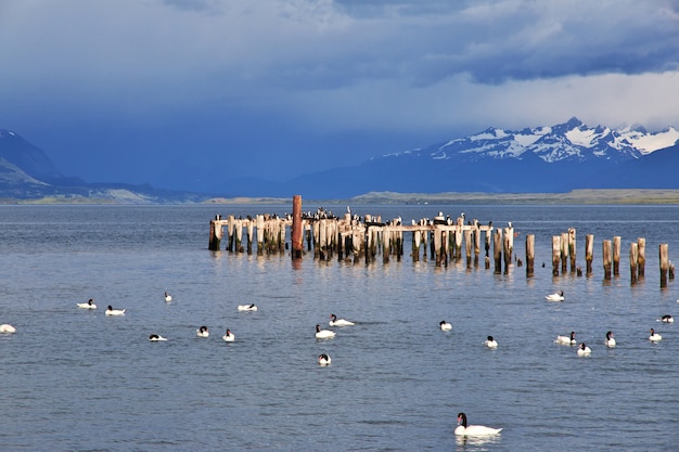 O velho cais em puerto natales