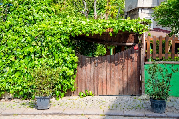 O velho portão de madeira está lindamente coberto de hera verde