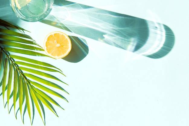 O verão fresco bebe limonada ou refrigerante em vidro sobre fundo de cor azul com sombras de folhas de palmeira