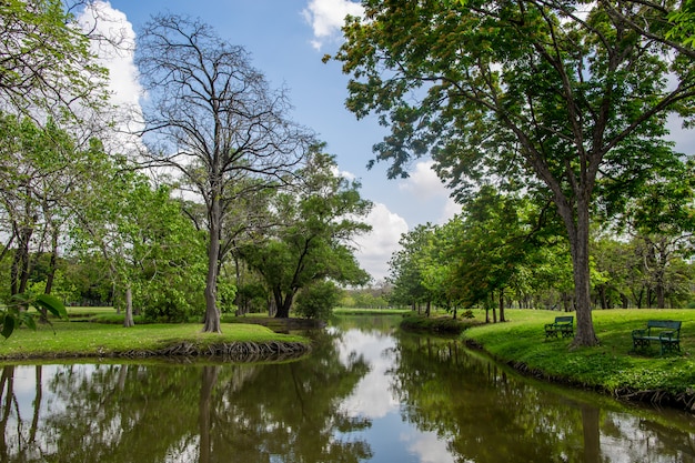 O verde jardim lindo parque com o céu azul claro