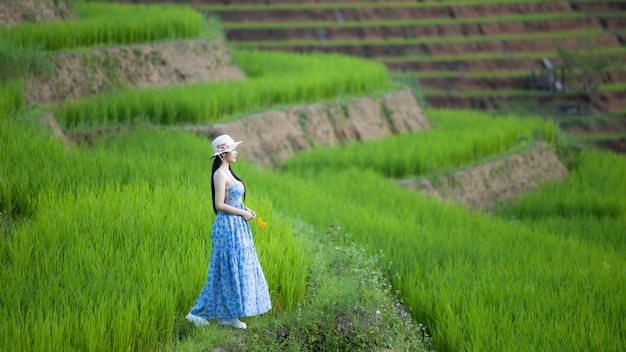 O viajante asiático sente-se relaxado nos campos de arroz em terraços de Ban Pa Bong Paing Chiang Mai Tailândia Bela paisagem campos de arroz em terraços Conceito de viagem de mulher asiática ao norte da Tailândia