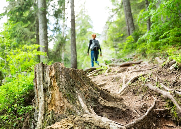 O viajante está caminhando na floresta