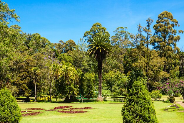 O victoria park é um parque público localizado em nuwara eliya, sri lanka. o parque foi formalmente nomeado em 1897 para comemorar a rainha vitória.