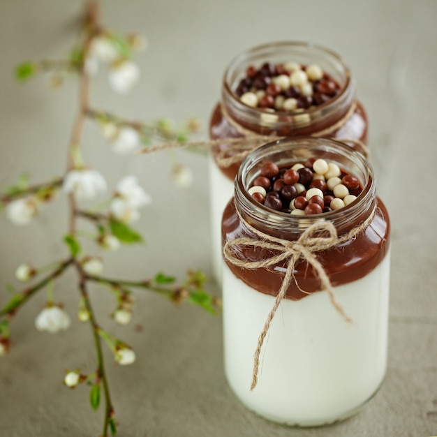 O vidro do iogurte caseiro com musse de chocolate e doces de chocolate deixa cair com ramo da mola.