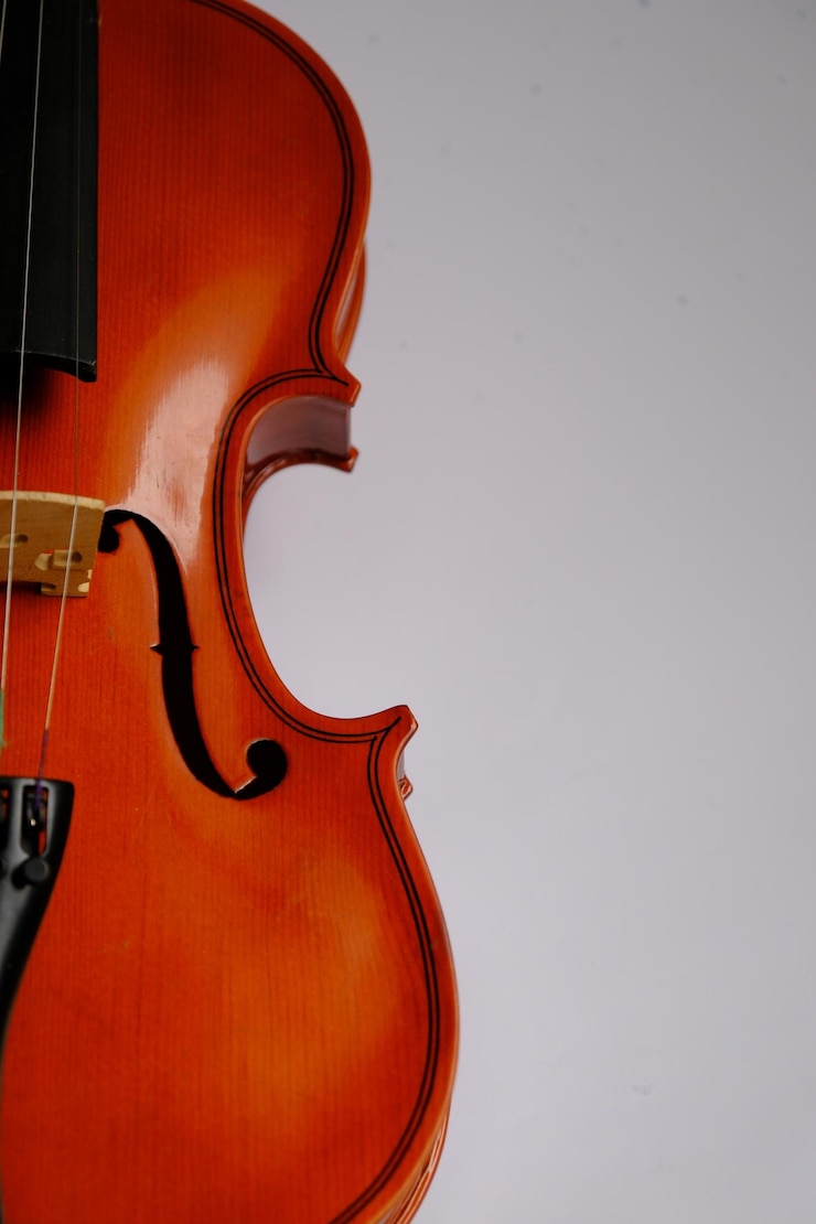 Foto o violino isolado