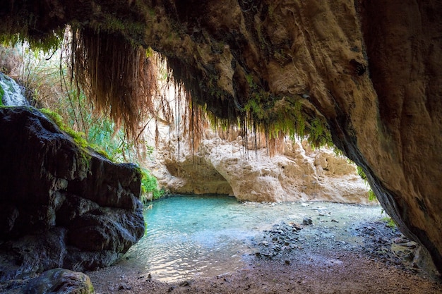 Oase in der Wüste. Naturschutzgebiet Ein Gedi. Israel