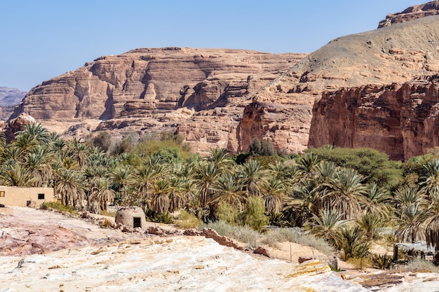 Foto oase in der wüste, süd-sinai, weiße schlucht in der wüste, ägypten