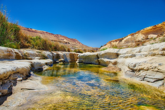 Oasis de agua en el desierto