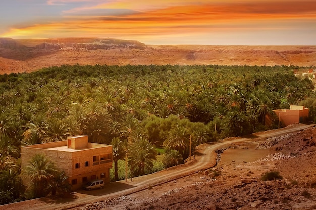 Oasis en el desierto contra el fondo de la puesta de sol África Marruecos