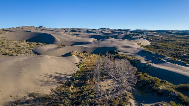 Oasis en las dunas de arena en Mendoza, Argentina.