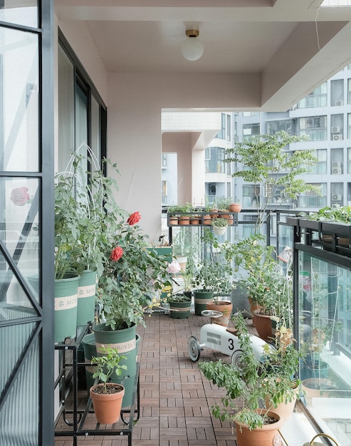 Oasis de jardín de balcón urbano