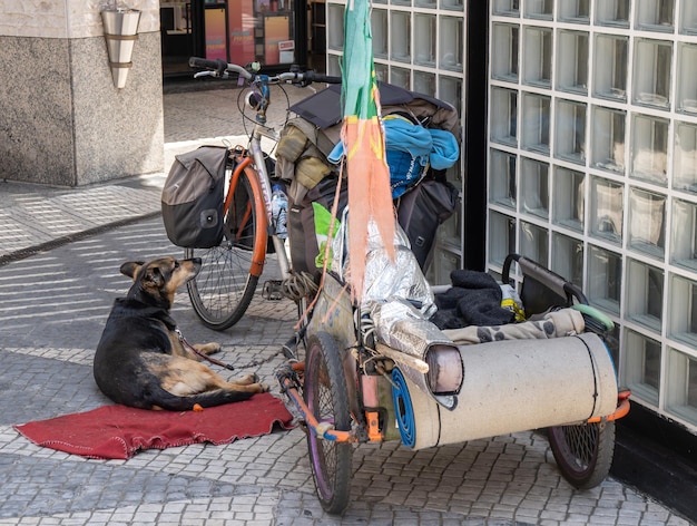 Obdachloser Hund wartet neben seinem Fahrrad mit Anhänger voller Gegenstände auf seinen obdachlosen Herrn