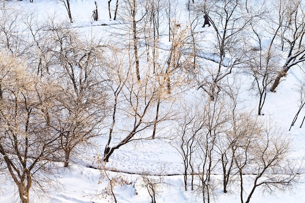 Oben Blick auf den schneebedeckten Stadtgarten