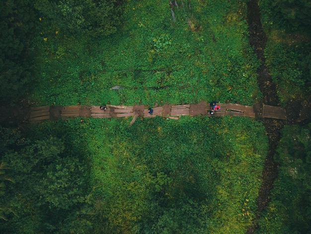 Obenliegender Blick von oben auf den Weg im Waldwanderkonzept