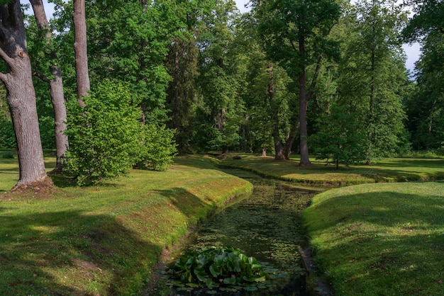 Oberer Park des Oranienbaum-Parks an einem sonnigen Sommertag Lomonosov Sankt Petersburg Russland