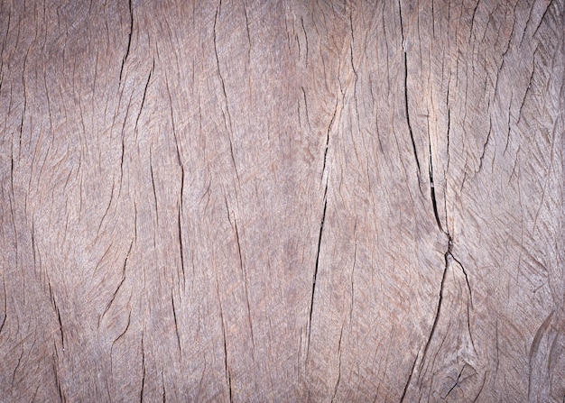 Oberfläche der alten hölzernen Beschaffenheit des Sprunges. Vintage Holz strukturellen Hintergrund