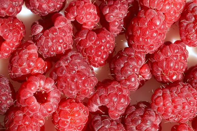 Oberfläche von roten großen Beeren frische saftige Himbeere