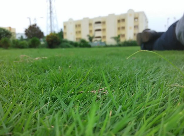 Foto oberflächenebene des graslandes mit gebäuden im hintergrund