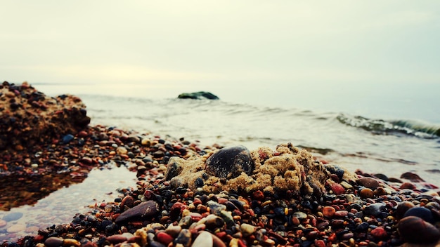 Oberflächenhöhe der Felsen am Strand