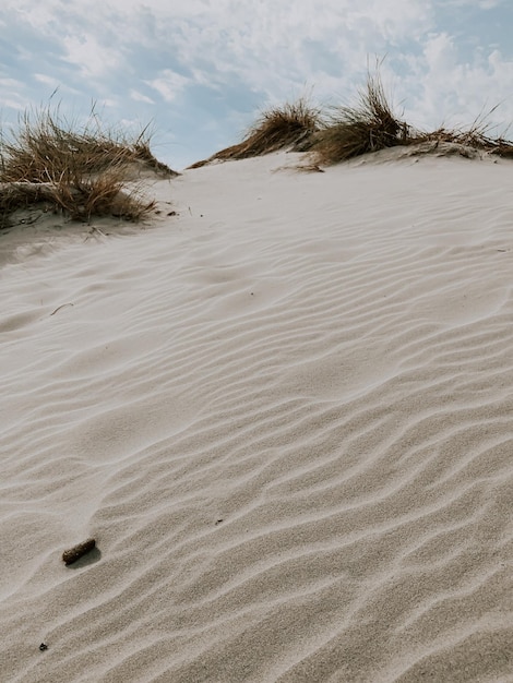 Foto oberflächenhöhe der sanddünen am strand gegen den himmel