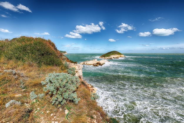 Oberhalb der Klippen an der Küste von Vieste