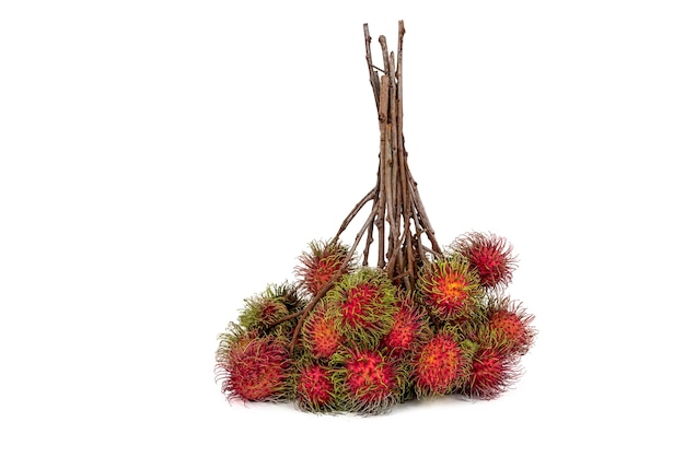 Objektbilder von vielen frischen Rambutan werden mit Früchten und süßem Geschmack auf weißem Hintergrund gefüttert