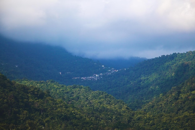 Objetivo da vida é viver com a natureza