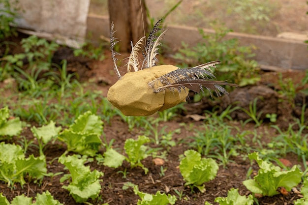 Objeto feito à mão com esponja e penas de pássaros, usado na pequena fazenda familiar orta para espantar pássaros intrusos