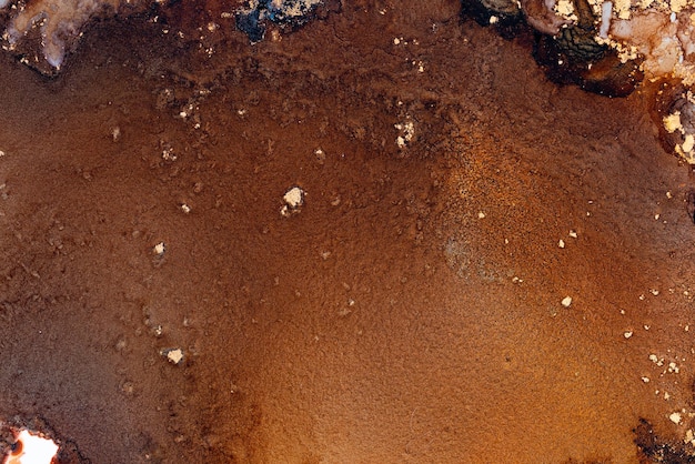 Un objeto marrón y negro está en el centro de la imagen.