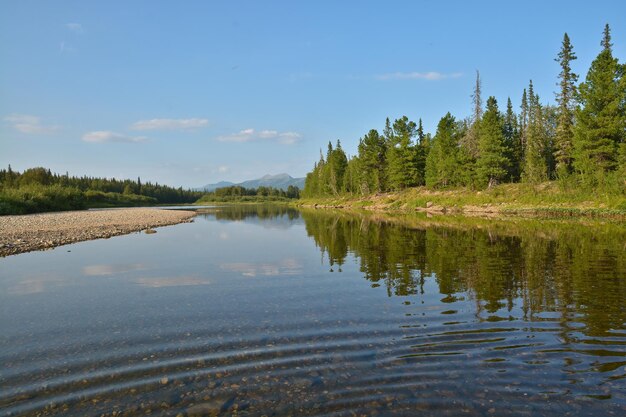 Objeto del sitio del patrimonio mundial de la UNESCO Bosques vírgenes de Komi