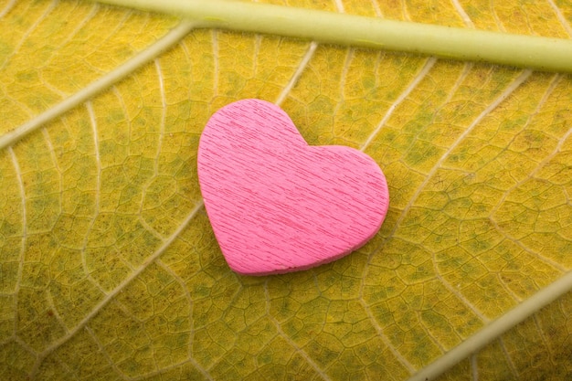 Foto objetos decorativos coloridos em forma de coração