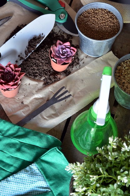 Objetos de jardinería y plantas sobre mesa rústica.