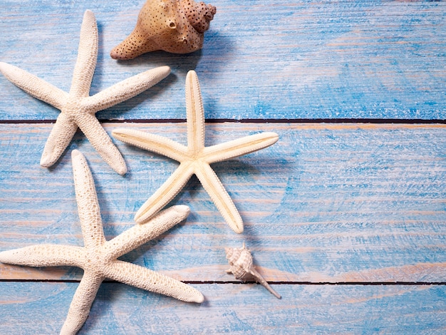 Objetos marinhos, conchas e estrelas do mar na madeira