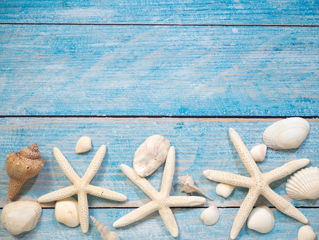 Objetos marinhos, conchas e estrelas do mar na madeira