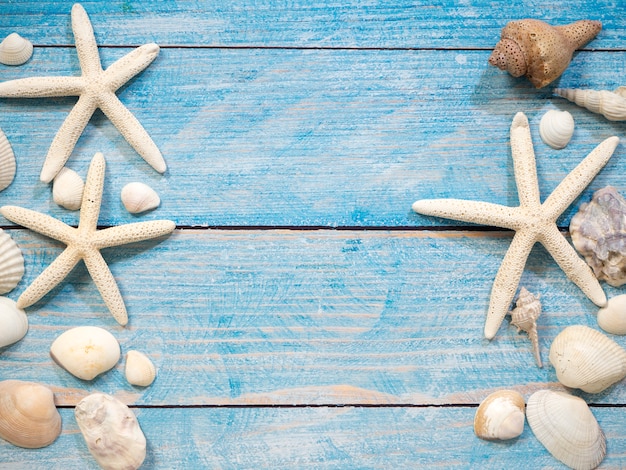 Objetos marinhos, conchas e estrelas do mar na madeira