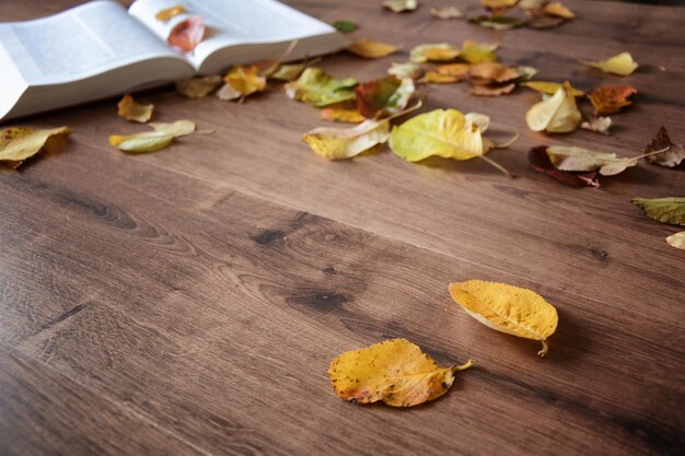 Objetos en una mesa de madera, una taza de café y un libro.