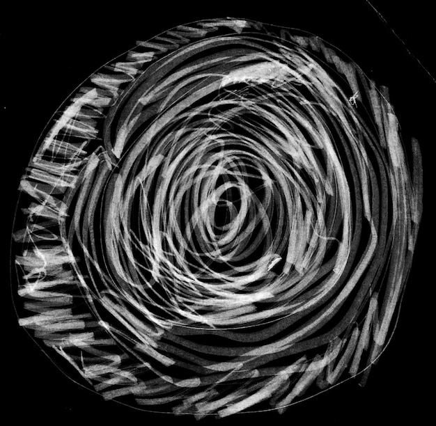Obra de arte abstracta en blanco y negro que se asemeja a una flor en plena floración con un toque retro