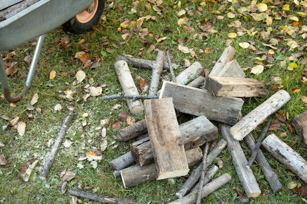 Foto obrezka derev'ev na sadovom ucastke v osennij period