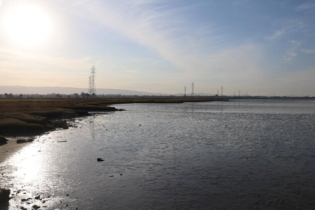 Observação de pássaros Baylands Califórnia