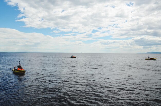 Foto observación de las ballenas de tadoussac