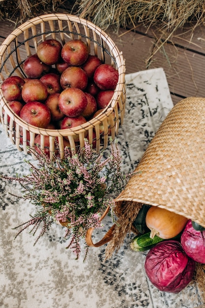 Obst und Gemüse saisonaler Korb bunte Dekoration Markthandel